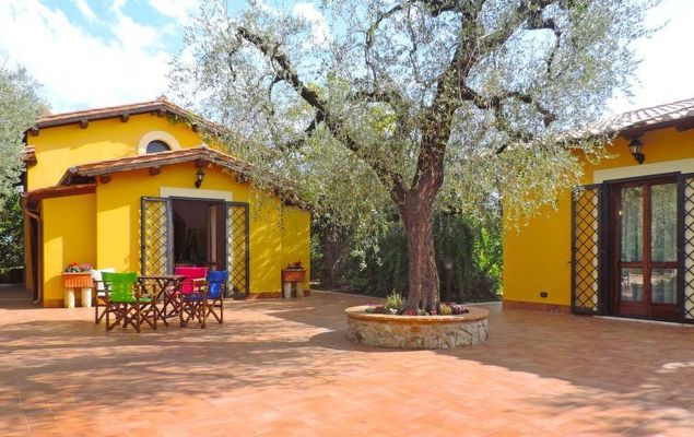 Olive Grove Sabina - Photo 1