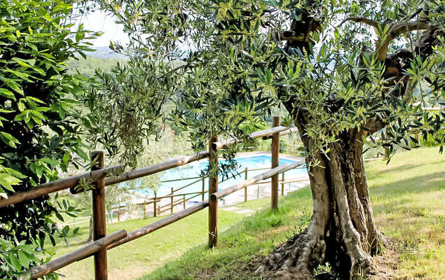 Malagronda - Photo 28