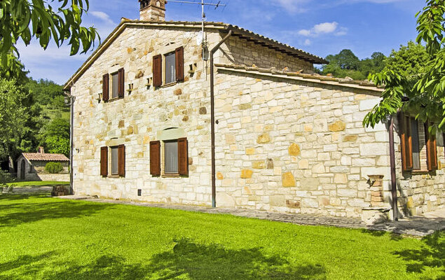 Sunflower - Photo 21